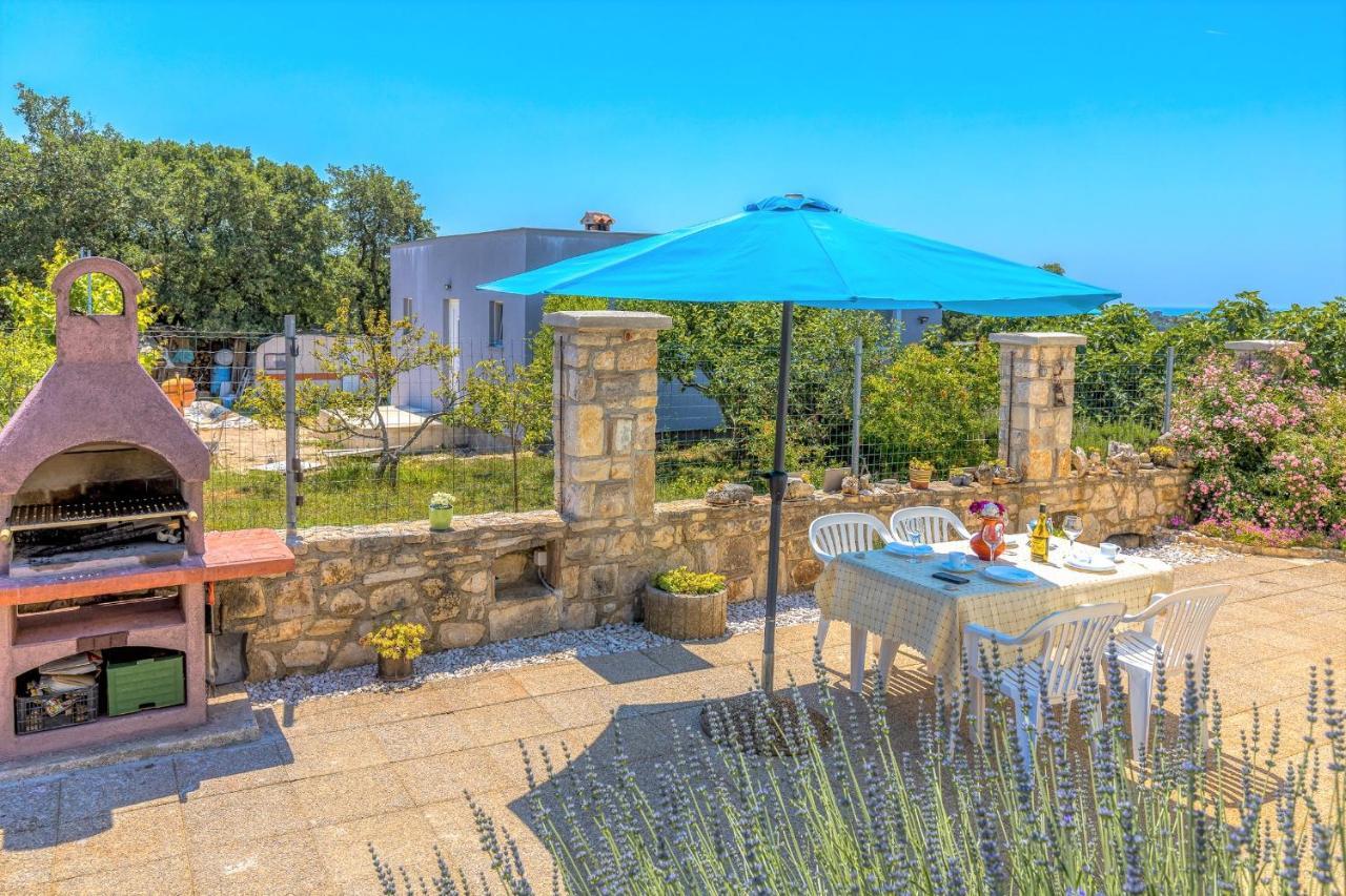 Casa Monshego 호텔 로비니 외부 사진
